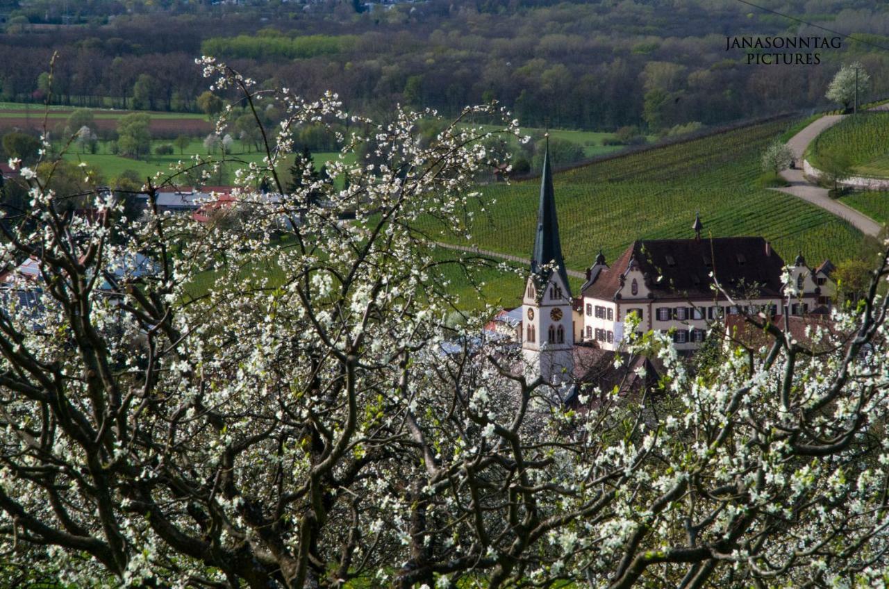 Apartment Schneeburg Ebringen Eksteriør bilde